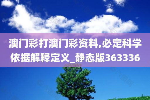 澳门彩打澳门彩资料,必定科学依据解释定义_静态版363336