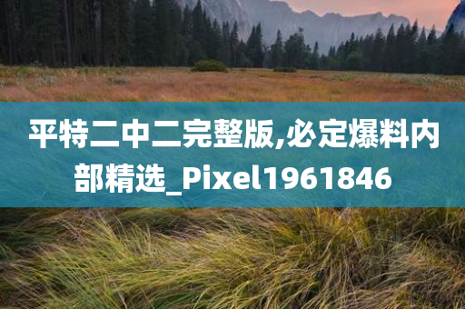 平特二中二完整版,必定爆料内部精选_Pixel1961846