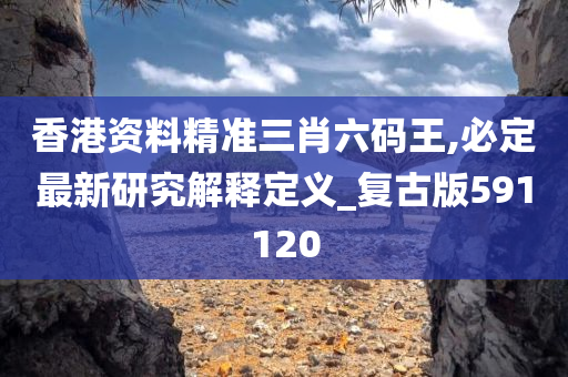 香港资料精准三肖六码王,必定最新研究解释定义_复古版591120