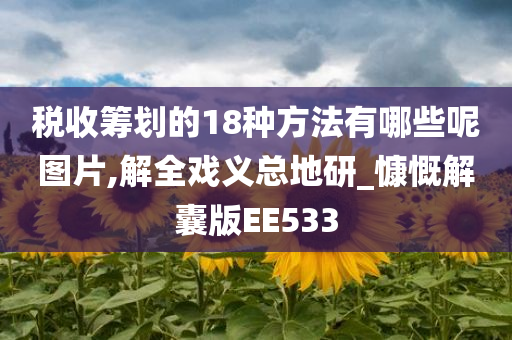 税收筹划的18种方法有哪些呢图片,解全戏义总地研_慷慨解囊版EE533