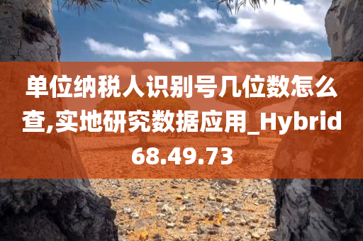 单位纳税人识别号几位数怎么查,实地研究数据应用_Hybrid68.49.73