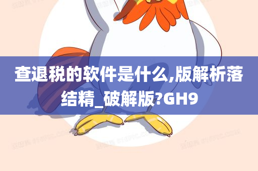 查退税的软件是什么,版解析落结精_破解版?GH9