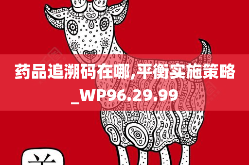 药品追溯码在哪,平衡实施策略_WP96.29.99