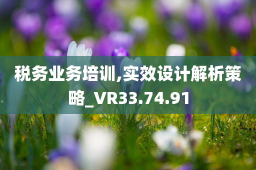 税务业务培训,实效设计解析策略_VR33.74.91