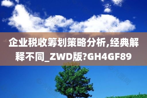 企业税收筹划策略分析,经典解释不同_ZWD版?GH4GF89