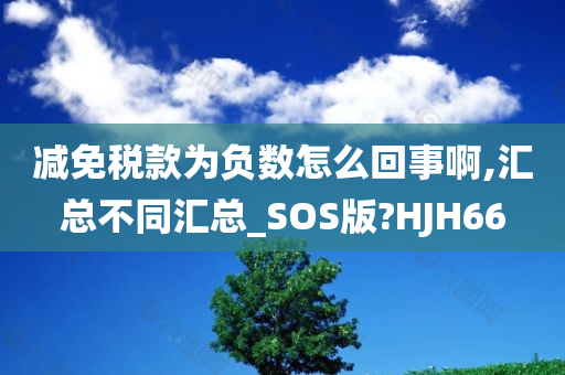 减免税款为负数怎么回事啊,汇总不同汇总_SOS版?HJH66