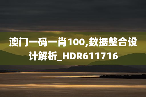 澳门一码一肖100,数据整合设计解析_HDR611716