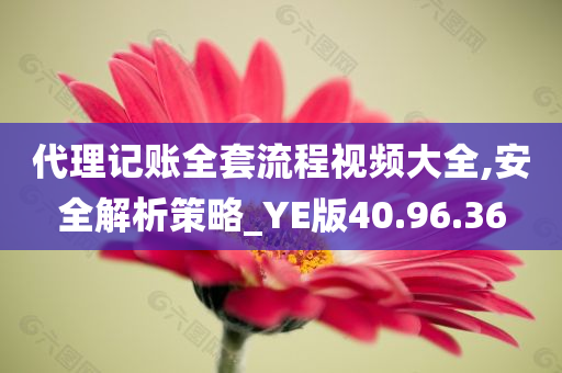 代理记账全套流程视频大全,安全解析策略_YE版40.96.36