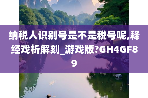 纳税人识别号是不是税号呢,释经戏析解刻_游戏版?GH4GF89