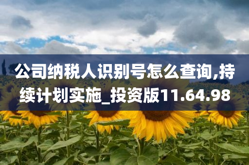 公司纳税人识别号怎么查询,持续计划实施_投资版11.64.98