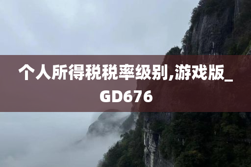 个人所得税税率级别,游戏版_GD676