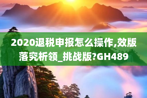 2020退税申报怎么操作,效版落究析领_挑战版?GH489