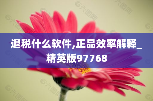 退税什么软件,正品效率解释_精英版97768