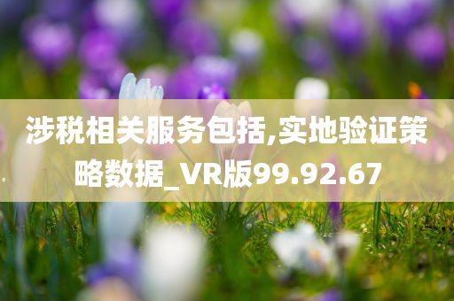 涉税相关服务包括,实地验证策略数据_VR版99.92.67