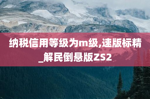 纳税信用等级为m级,速版标精_解民倒悬版ZS2