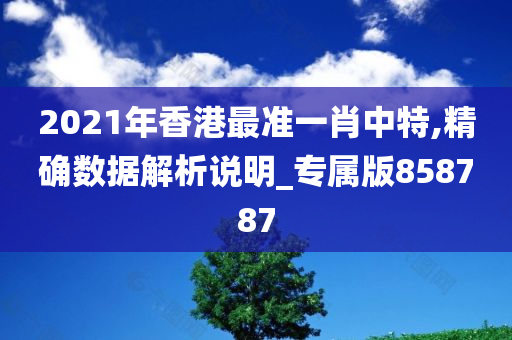 2021年香港最准一肖中特,精确数据解析说明_专属版858787