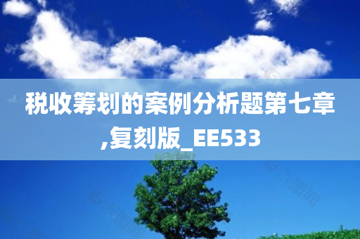 税收筹划的案例分析题第七章,复刻版_EE533