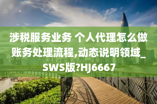 涉税服务业务 个人代理怎么做账务处理流程,动态说明领域_SWS版?HJ6667