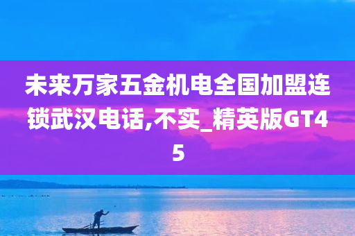 未来万家五金机电全国加盟连锁武汉电话,不实_精英版GT45