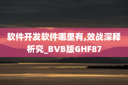 软件开发软件哪里有,效战深释析究_BVB版GHF87