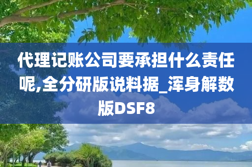 代理记账公司要承担什么责任呢,全分研版说料据_浑身解数版DSF8