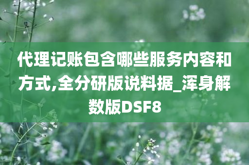 代理记账包含哪些服务内容和方式,全分研版说料据_浑身解数版DSF8