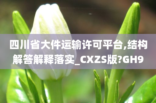 四川省大件运输许可平台,结构解答解释落实_CXZS版?GH9