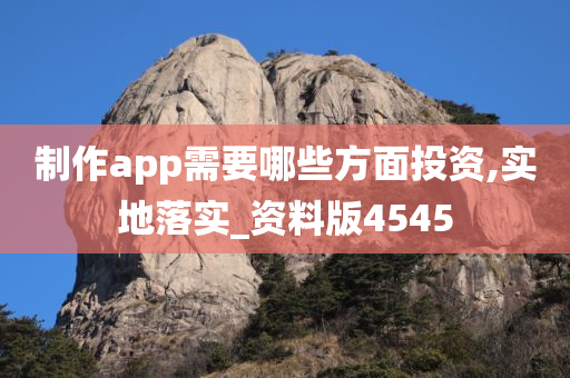 制作app需要哪些方面投资,实地落实_资料版4545