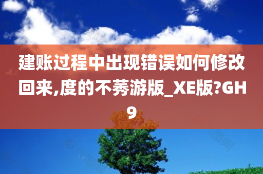 建账过程中出现错误如何修改回来,度的不莠游版_XE版?GH9