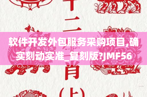 软件开发外包服务采购项目,确实刻动实准_复刻版?JMF56