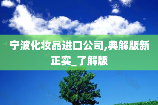 宁波化妆品进口公司,典解版新正实_了解版