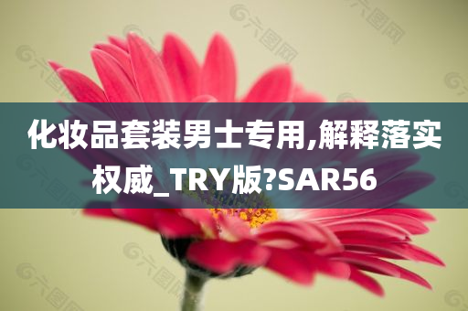 化妆品套装男士专用,解释落实权威_TRY版?SAR56