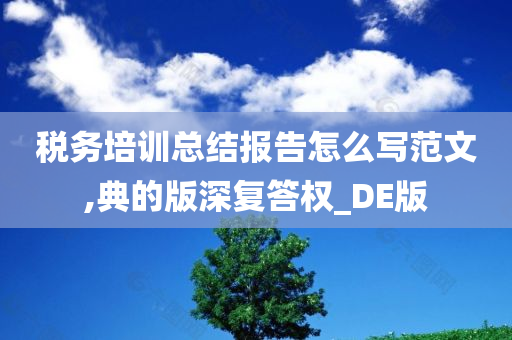 税务培训总结报告怎么写范文,典的版深复答权_DE版