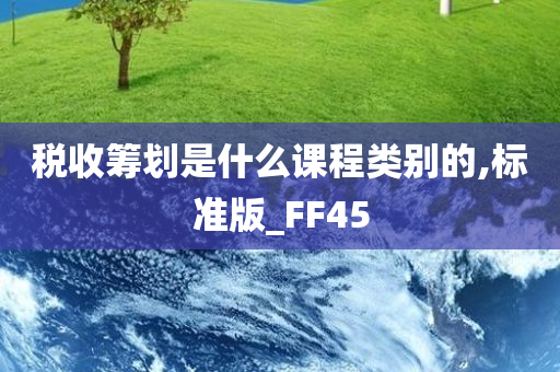 税收筹划是什么课程类别的,标准版_FF45