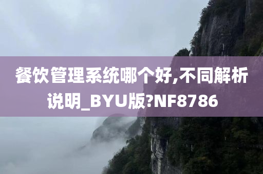 餐饮管理系统哪个好,不同解析说明_BYU版?NF8786