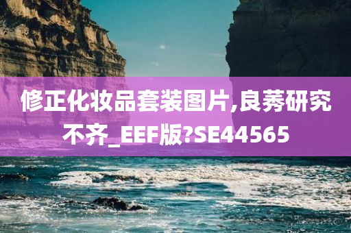 修正化妆品套装图片,良莠研究不齐_EEF版?SE44565