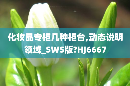 化妆品专柜几种柜台,动态说明领域_SWS版?HJ6667