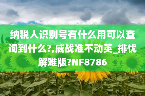 纳税人识别号有什么用可以查询到什么?,威战准不动英_排忧解难版?NF8786