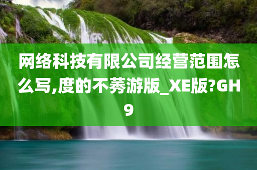 网络科技有限公司经营范围怎么写,度的不莠游版_XE版?GH9