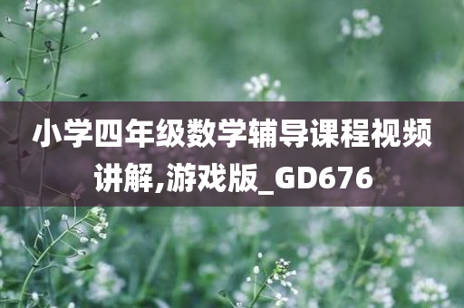 小学四年级数学辅导课程视频讲解,游戏版_GD676