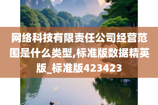 网络科技有限责任公司经营范围是什么类型,标准版数据精英版_标准版423423