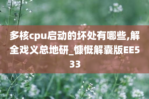 多核cpu启动的坏处有哪些,解全戏义总地研_慷慨解囊版EE533