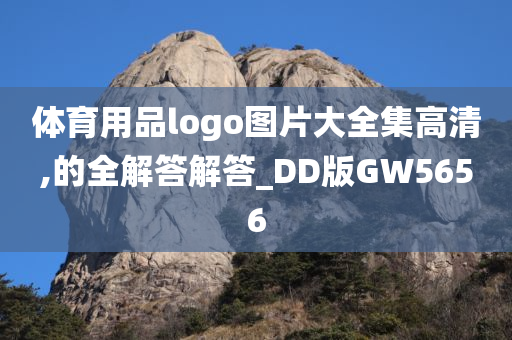 体育用品logo图片大全集高清,的全解答解答_DD版GW5656