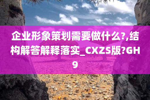 企业形象策划需要做什么?,结构解答解释落实_CXZS版?GH9