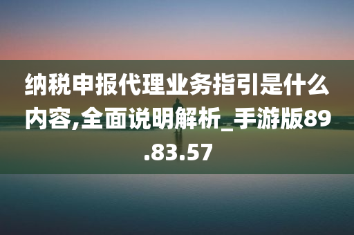 纳税申报代理业务指引是什么内容,全面说明解析_手游版89.83.57