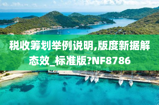 税收筹划举例说明,版度新据解态效_标准版?NF8786