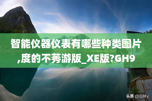 智能仪器仪表有哪些种类图片,度的不莠游版_XE版?GH9