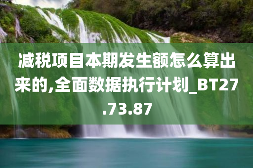 减税项目本期发生额怎么算出来的,全面数据执行计划_BT27.73.87