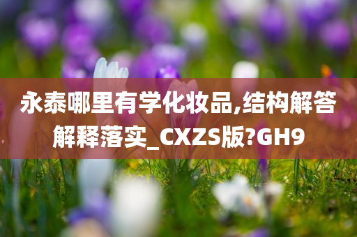 永泰哪里有学化妆品,结构解答解释落实_CXZS版?GH9