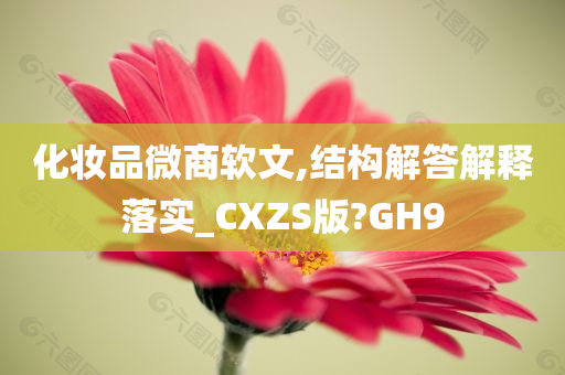 化妆品微商软文,结构解答解释落实_CXZS版?GH9